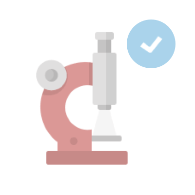Teste customizado sobre a anatomia do crânio