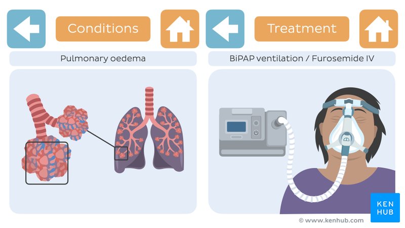 An image showing diagrams from the conditions and treatment categories in the color communication cards