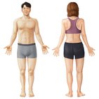 Anatomie du corps humain