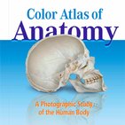 Color Atlas of Anatomy: Review