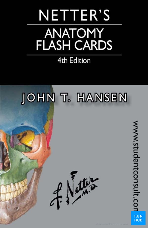Netter’s Anatomy Flash Cards - Cover