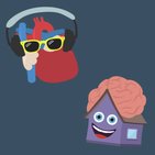 Learn anatomy with humor - mnemonics