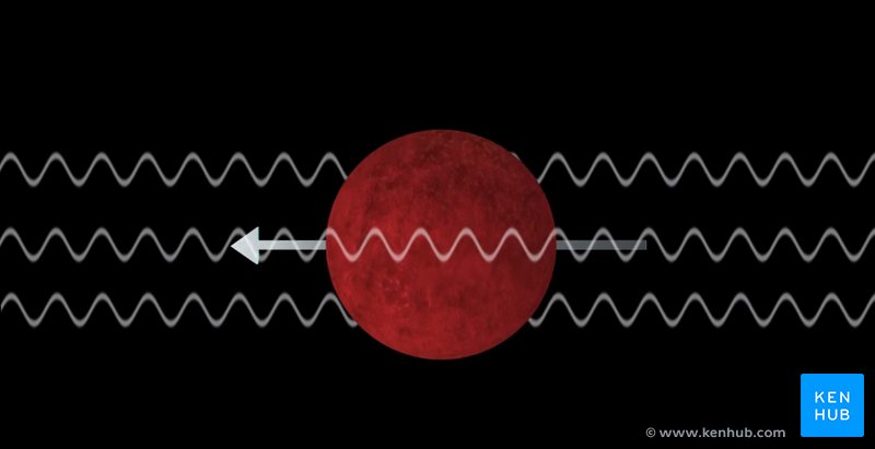 Behaviour of an excited proton in a MRI scanner