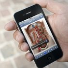 Rezension: Anatomy on the Go App für iOS