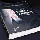 Rezension: Netter Atlas der Anatomie