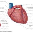 Disorders of coronary vessels