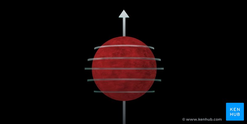 Behaviour of a 'relaxed' proton not exposed to a magnetic field