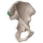 Posterior superior iliac spine