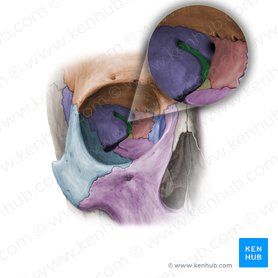 Fissura orbitalis superior (Obere Augenhöhlenspalte); Bild: Paul Kim