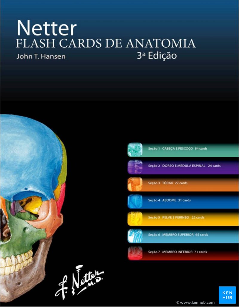 Netter: Flash Cards de Anatomia - Capa