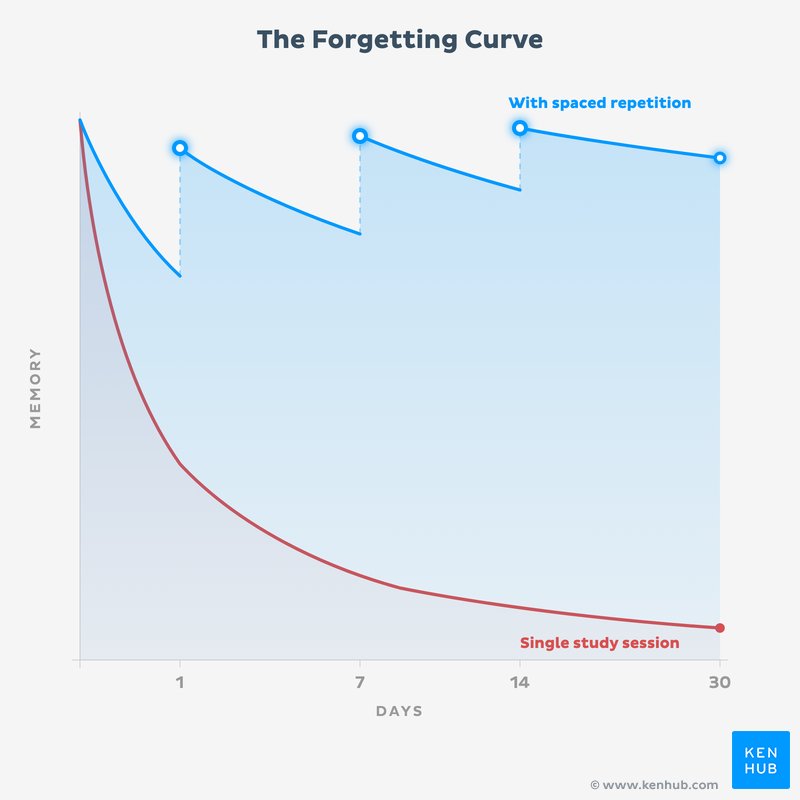 The Forgetting Curve