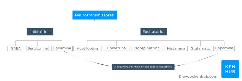Classificação dos neurotransmissores