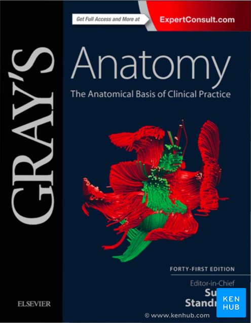 Gray's Anatomy Book - Cover