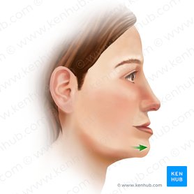 Protrusión mandibular (Protractio mandibulae); Imagen: Paul Kim