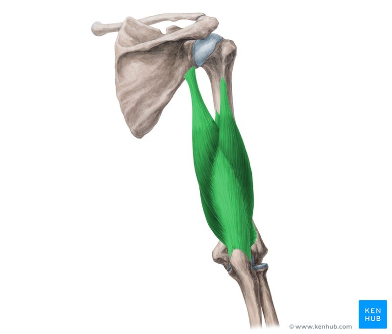 intervalo triangular