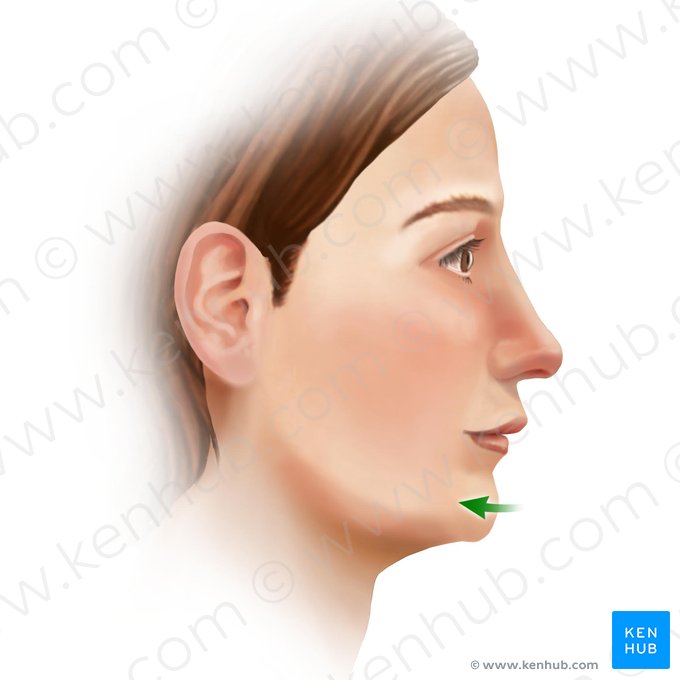 Retrusión de la mandíbula (Retractio mandibulae); Imagen: Paul Kim