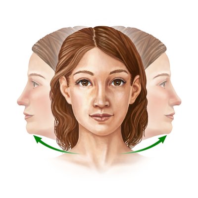 Anatomische Bewegungsbezeichnungen
