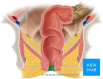 Yetuk tranny porno tomosha qiling