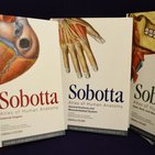 Rezension: Sobotta Atlas der Anatomie des Menschen