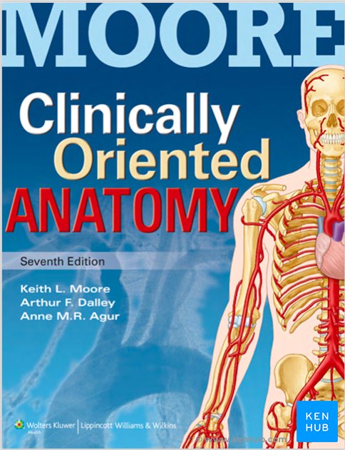 Moore's Clinically Oriented Anatomy - Cover