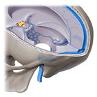 Transverse sinus