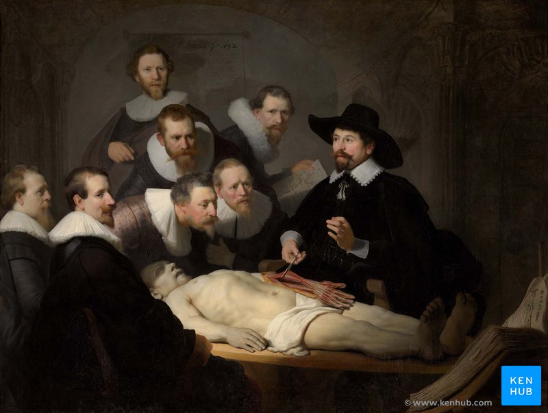 Painting by Rembrandt: The Anatomy Lesson of Dr. Nicolaes Tulp