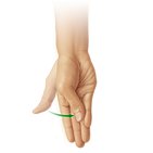 Trapeziometacarpal joint