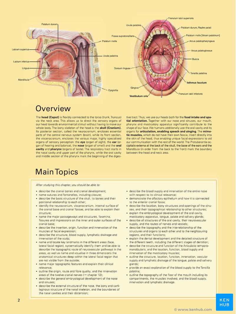 Sobotta Atlas of Human Anatomy - Chapter introduction sample