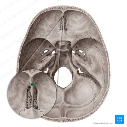 Forame cego do osso frontal (Foramen caecum); Imagem: Yousun Koh