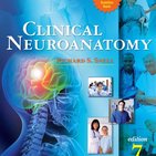 Snell’s Clinical Neuroanatomy: Review
