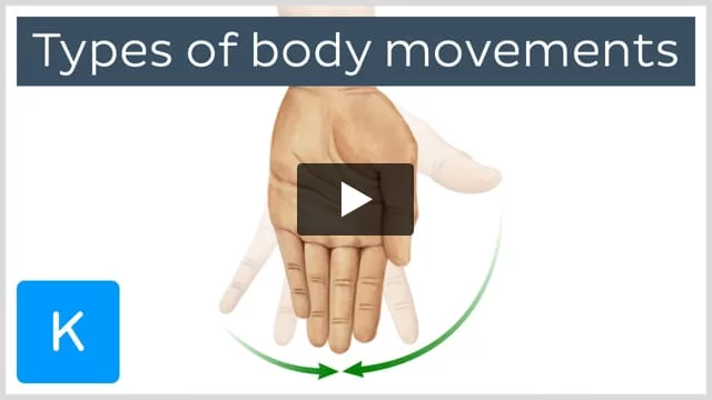 Types of movements in the human body