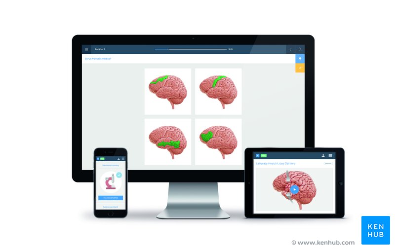 An image of the Kenhub platform as seen ona computer monitor, tablet, and smartphone