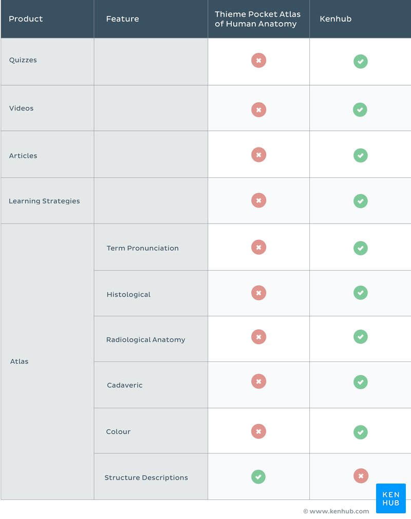 Thieme Pocket Atlas of Human Anatomy vs. Kenhub