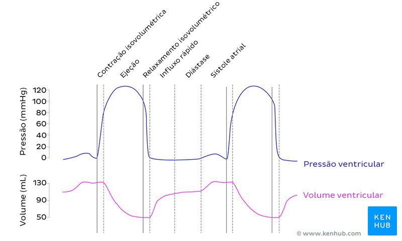 Pressão e volume ventricular no diagrama de Wiggers