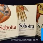Revisão: Sobotta - Atlas de Anatomia Humana