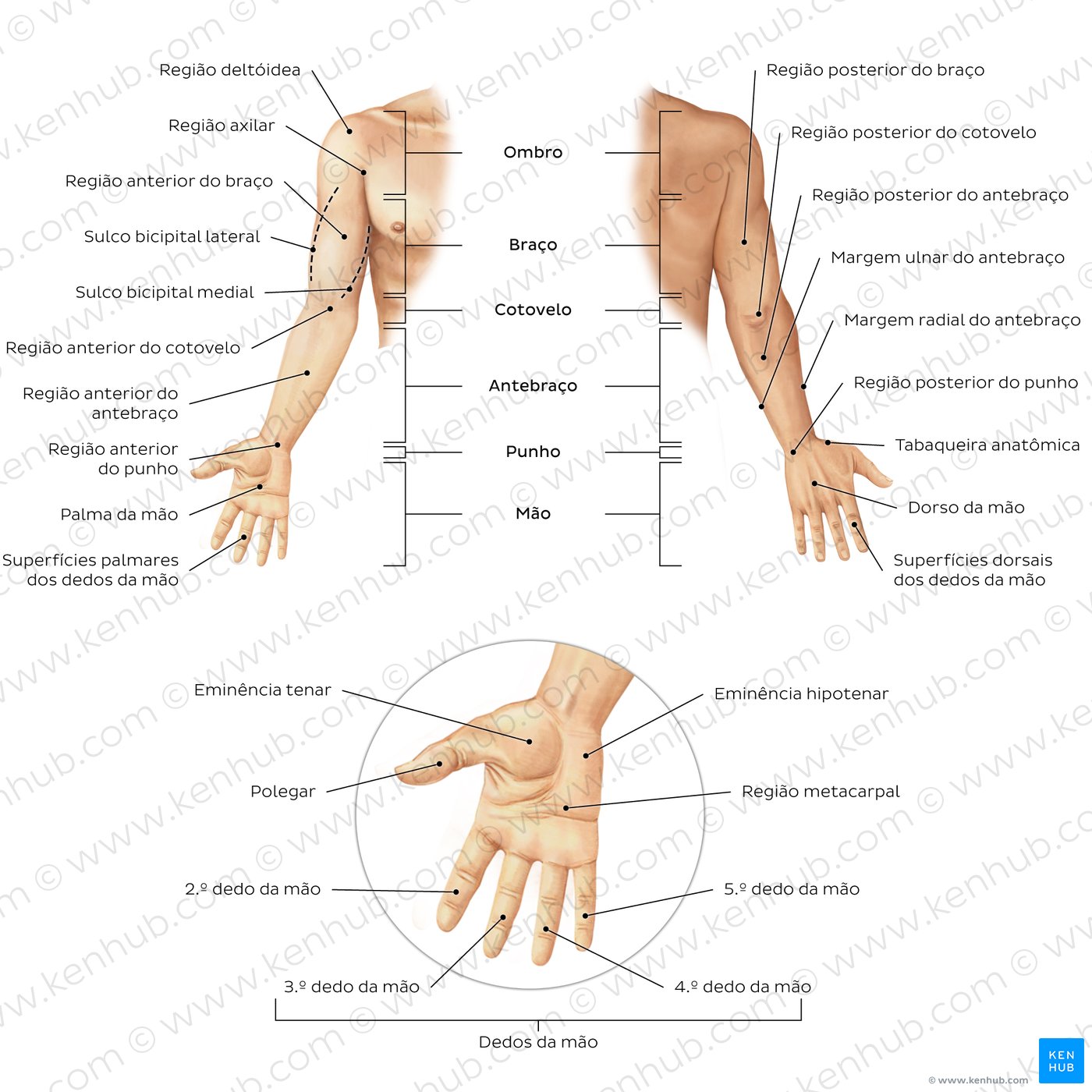 what is a stakeholder definitions types examples