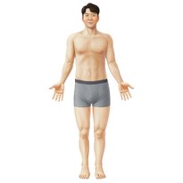 Introduction to the human body