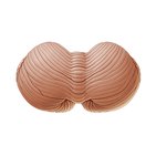 Cerebellum