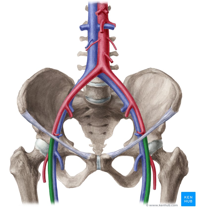 Femoral artery sale pain