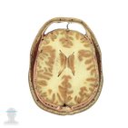 Caudate nucleus level