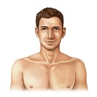 Oberflächenanatomie von Kopf und Hals