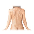 Regiones del cuerpo