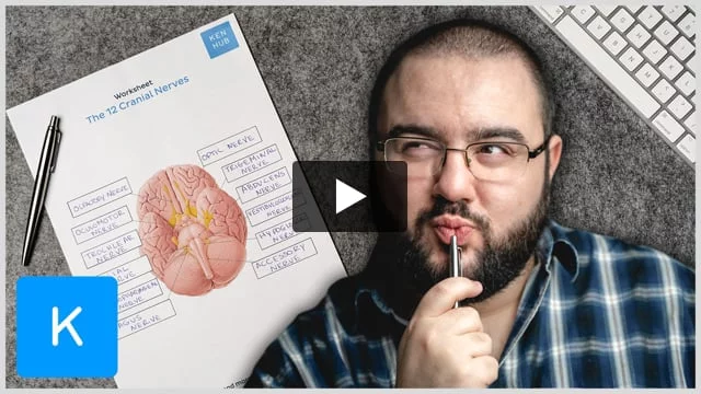 Mandibular nerve Quiz