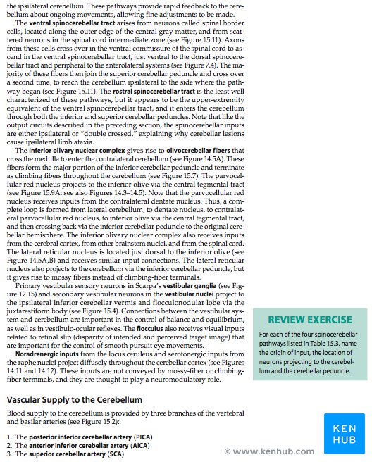 Neuroanatomy through clinical cases 2nd edition - Sample page