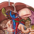 Splenic vein