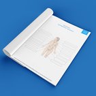 Apprenez les parties du système lymphatique avec des quiz et des schémas légendés