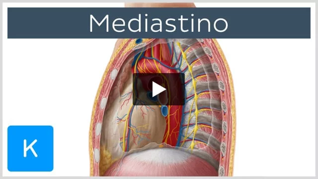 Videoaula 21 - 3°Ano - História 