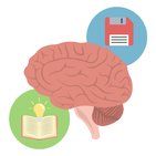 Learning and memory