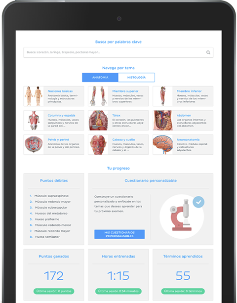 Juegos De Anatomía Humana Para Aprender Más Rápido Kenhub