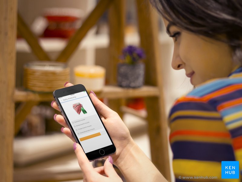 Looking for a Kenhub app? Kenhub